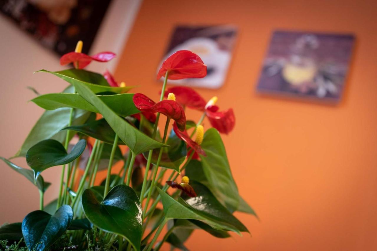 Casa Martina- Airport Free Shuttle-H24 Apartment Bergamo Luaran gambar